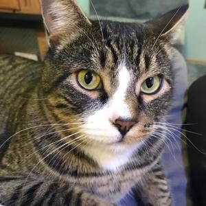 Meet your Posher, Scott